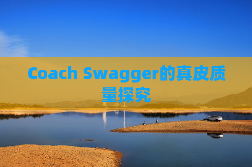 Coach Swagger的真皮质量探究